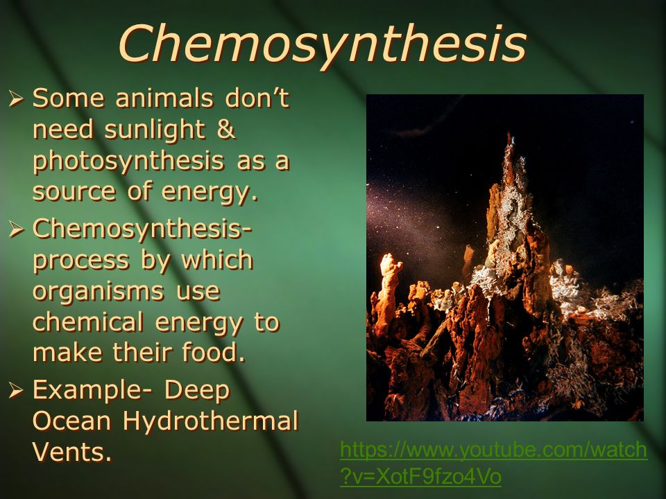 Chemosynthesis process organisms manufacture